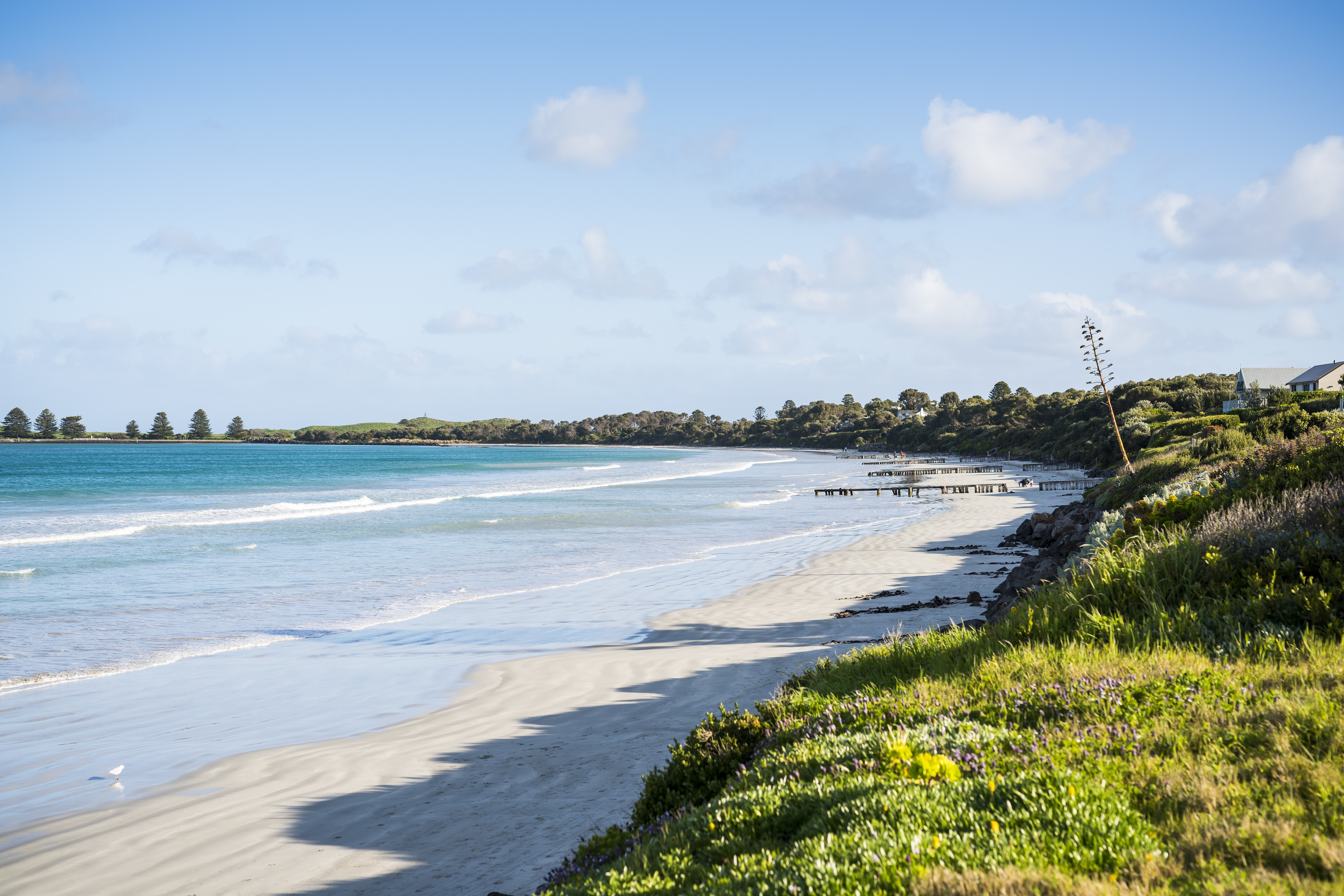 Aus victoria Port Fairy beach great ocean road