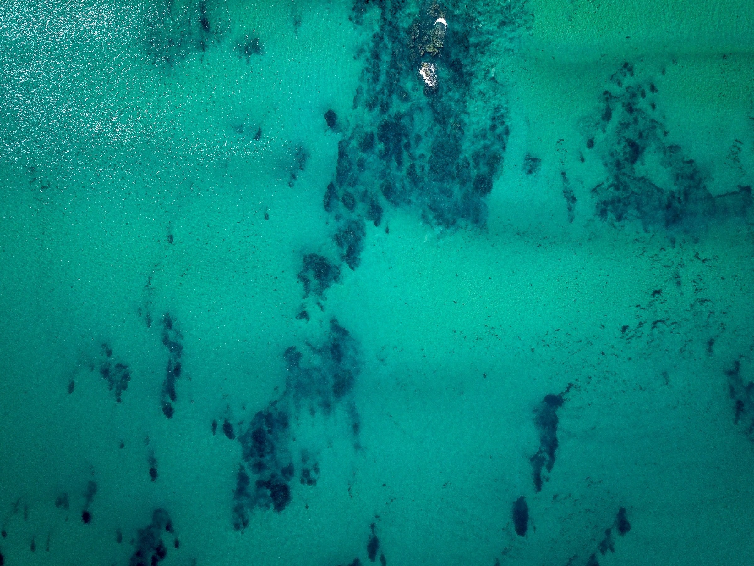 Aus victoria wilsons prom national park zac porter unsplash