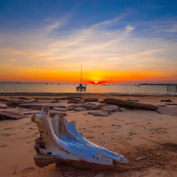 Darwin beach