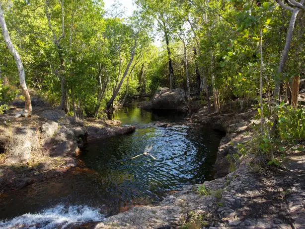 Northern Territory swim katherine credit Tourism Australia