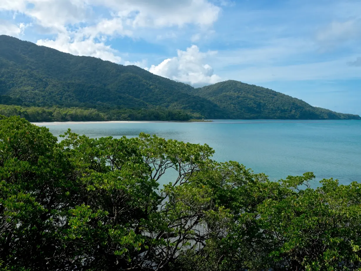 view overlooking Daintree ocean bay surrounded but lush greenery