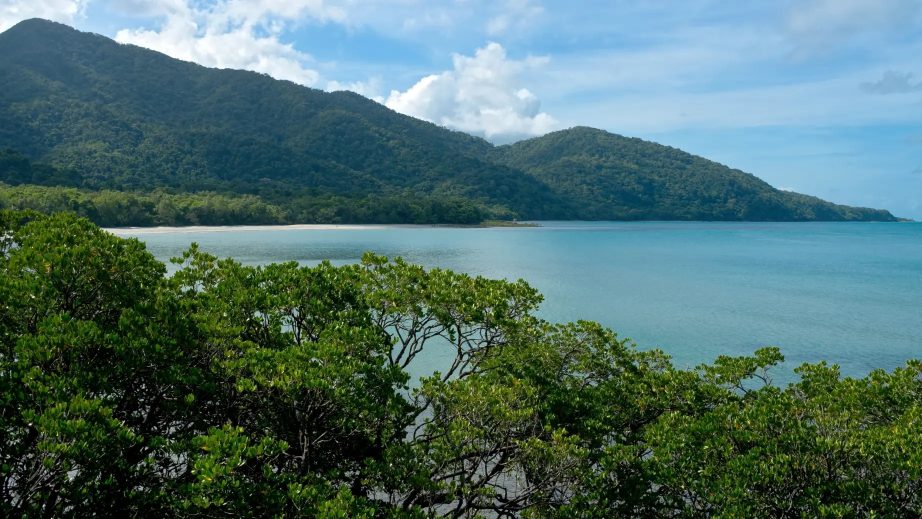 view overlooking Daintree ocean bay surrounded but lush greenery
