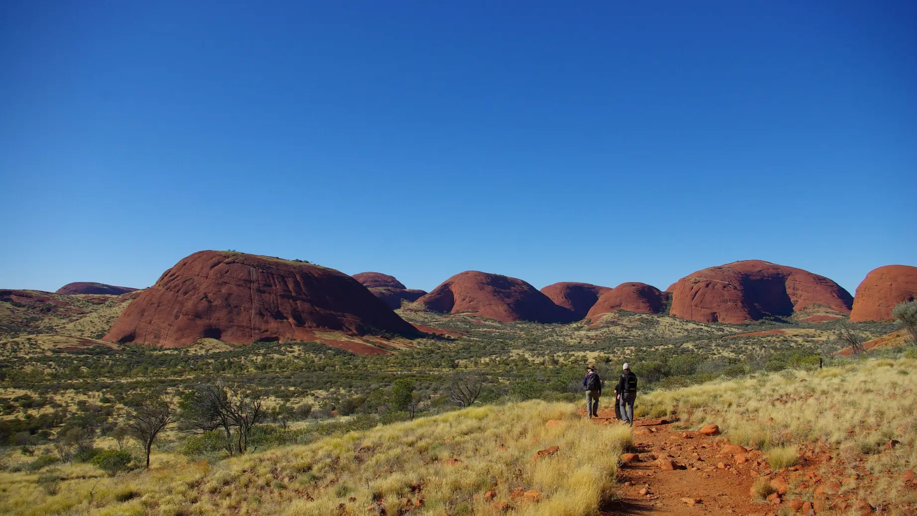 Olgas NP Kings canyon