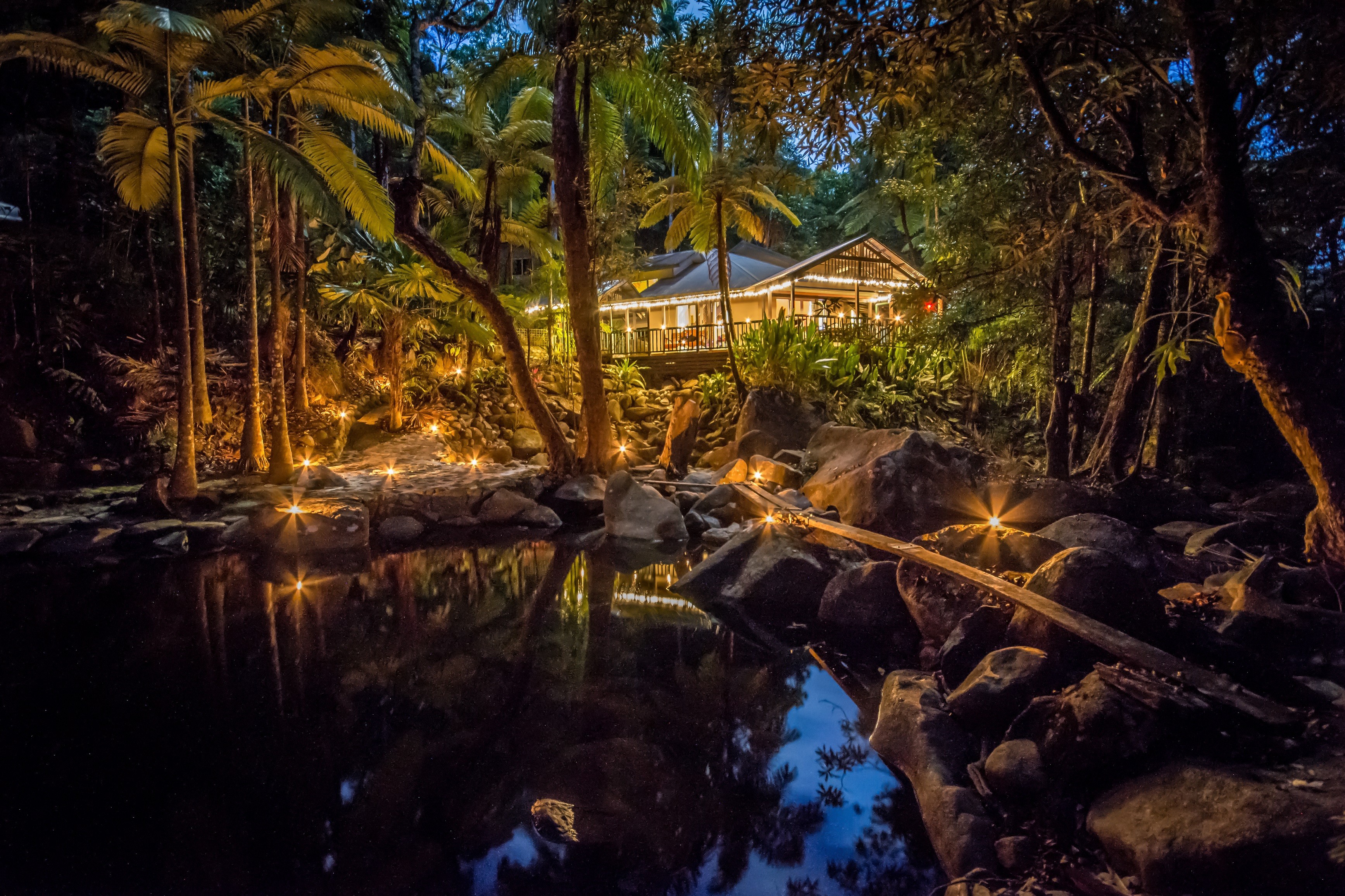 Man op reis Daintree Rainforest1