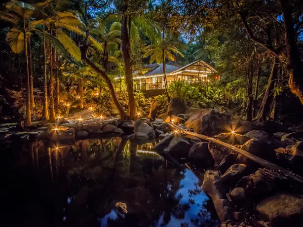 Man op reis Daintree Rainforest1