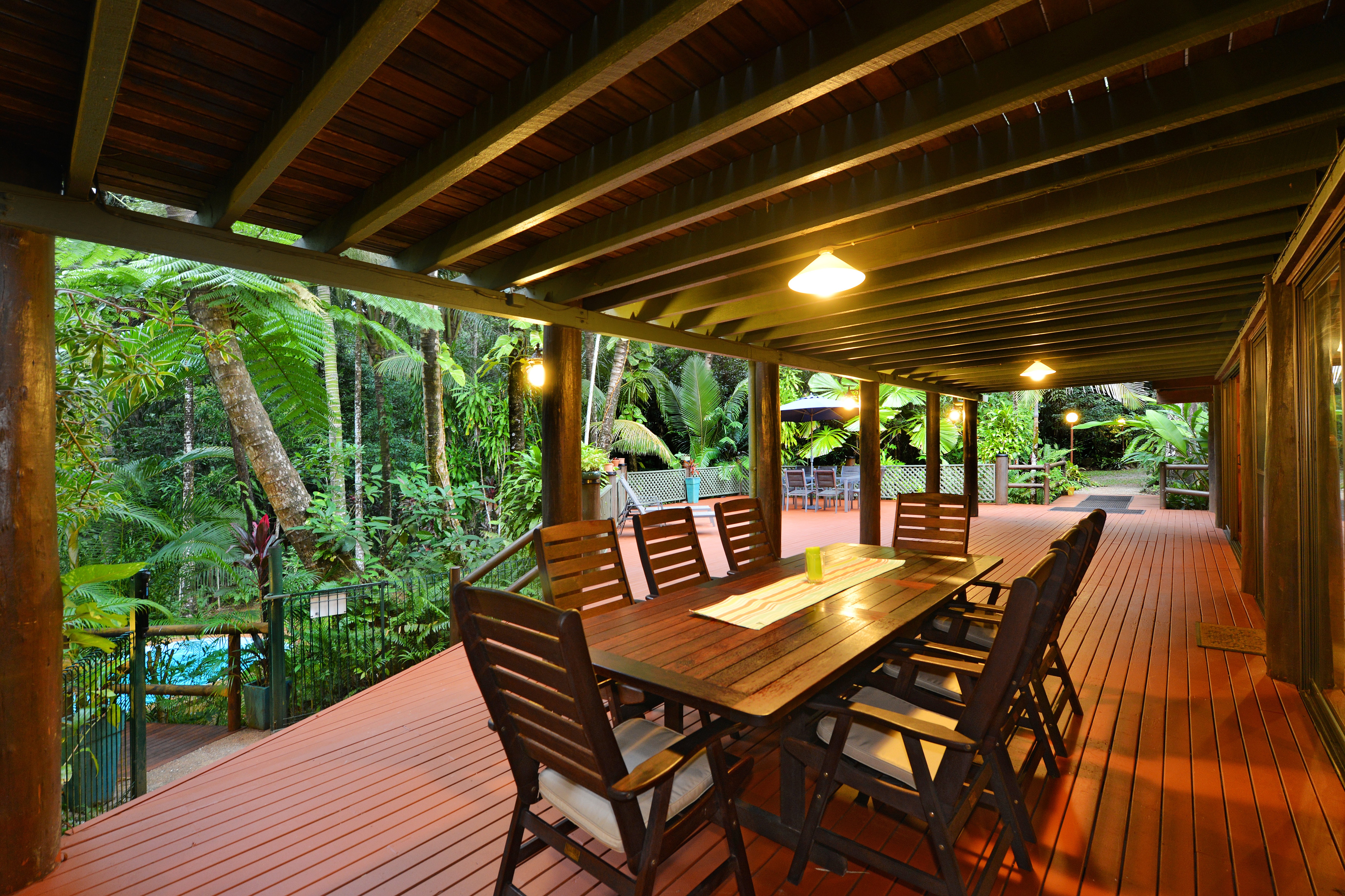 Man op reis Daintree Rainforest12