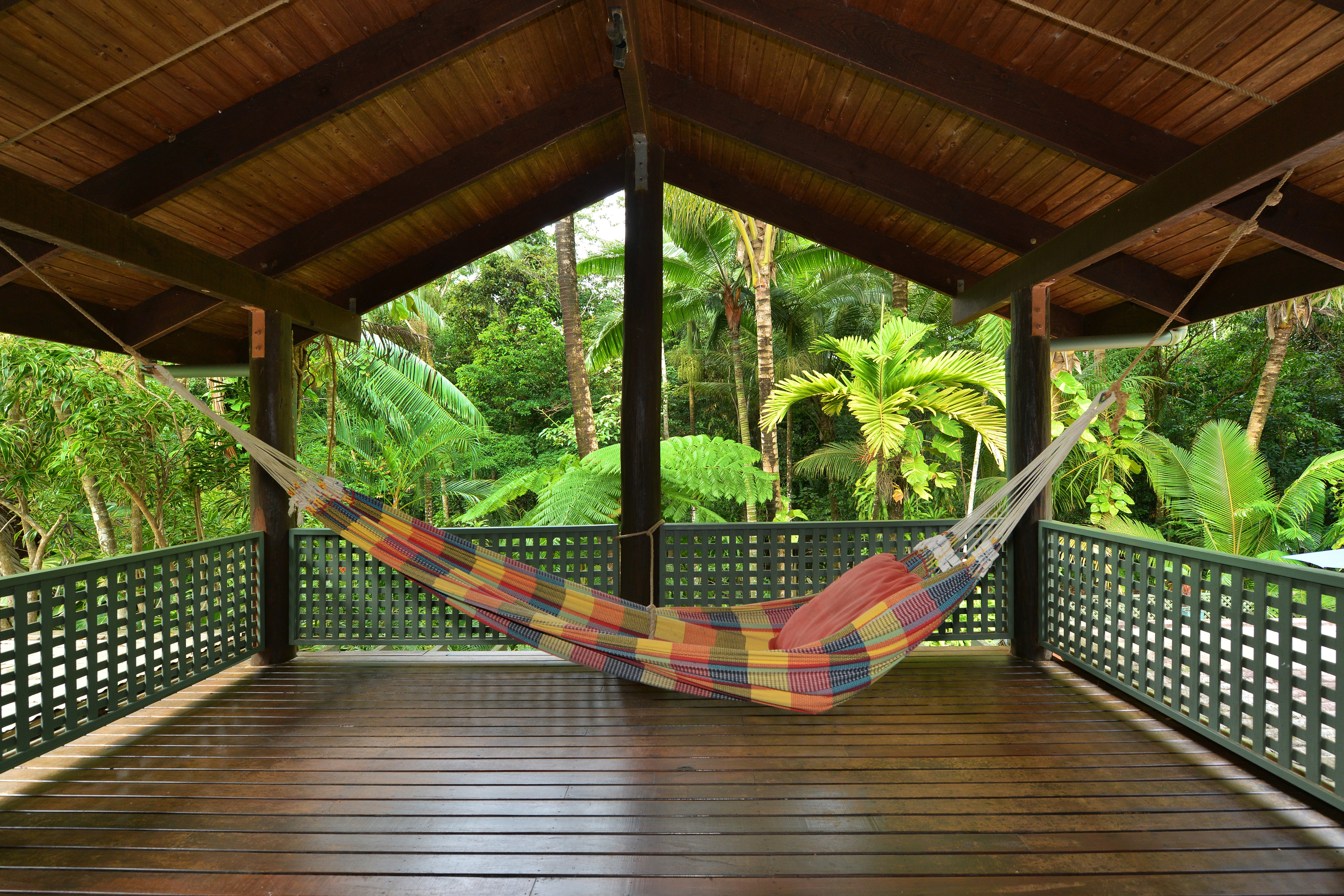 Daintree