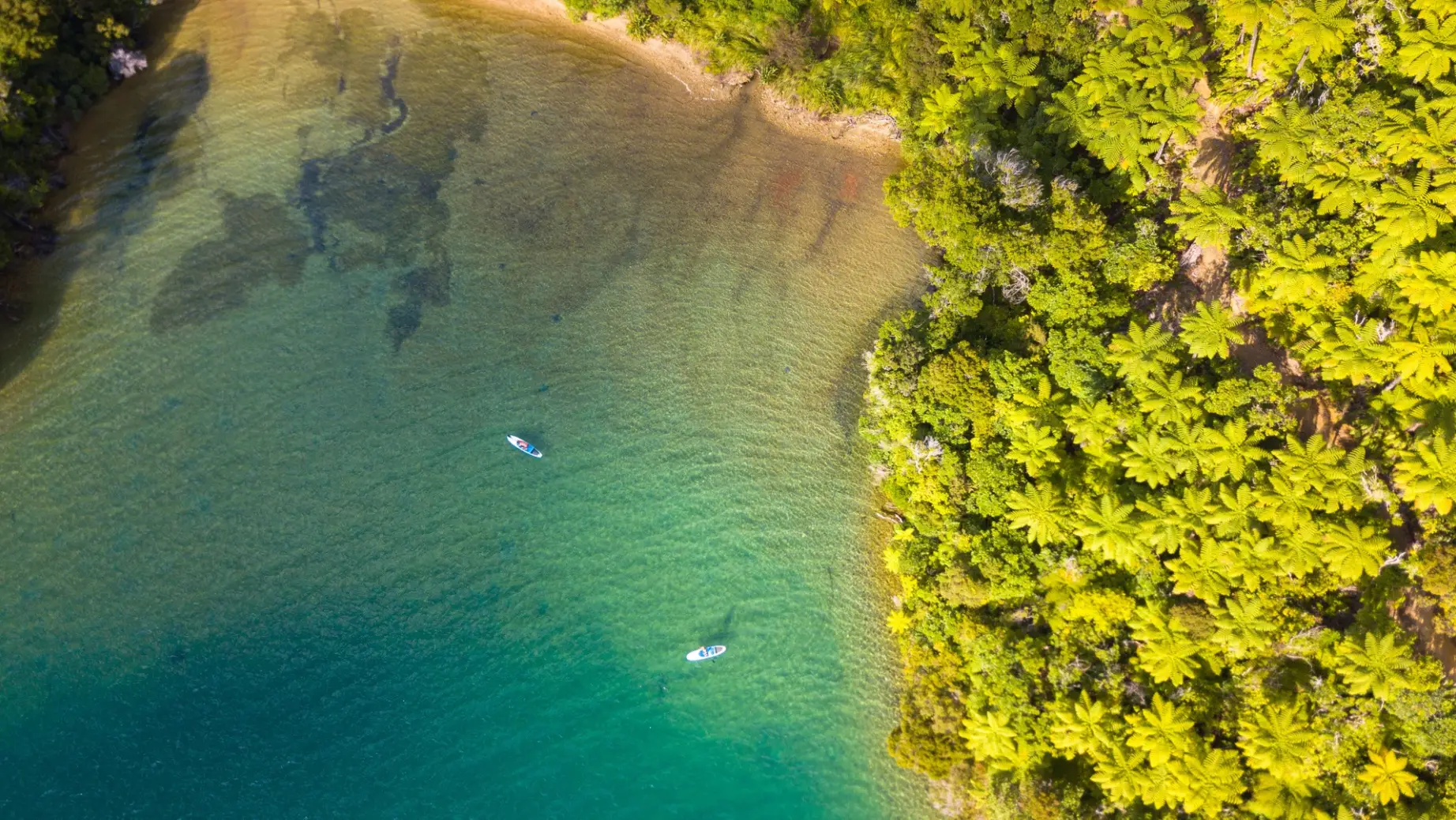 nz marlborough sounds drone