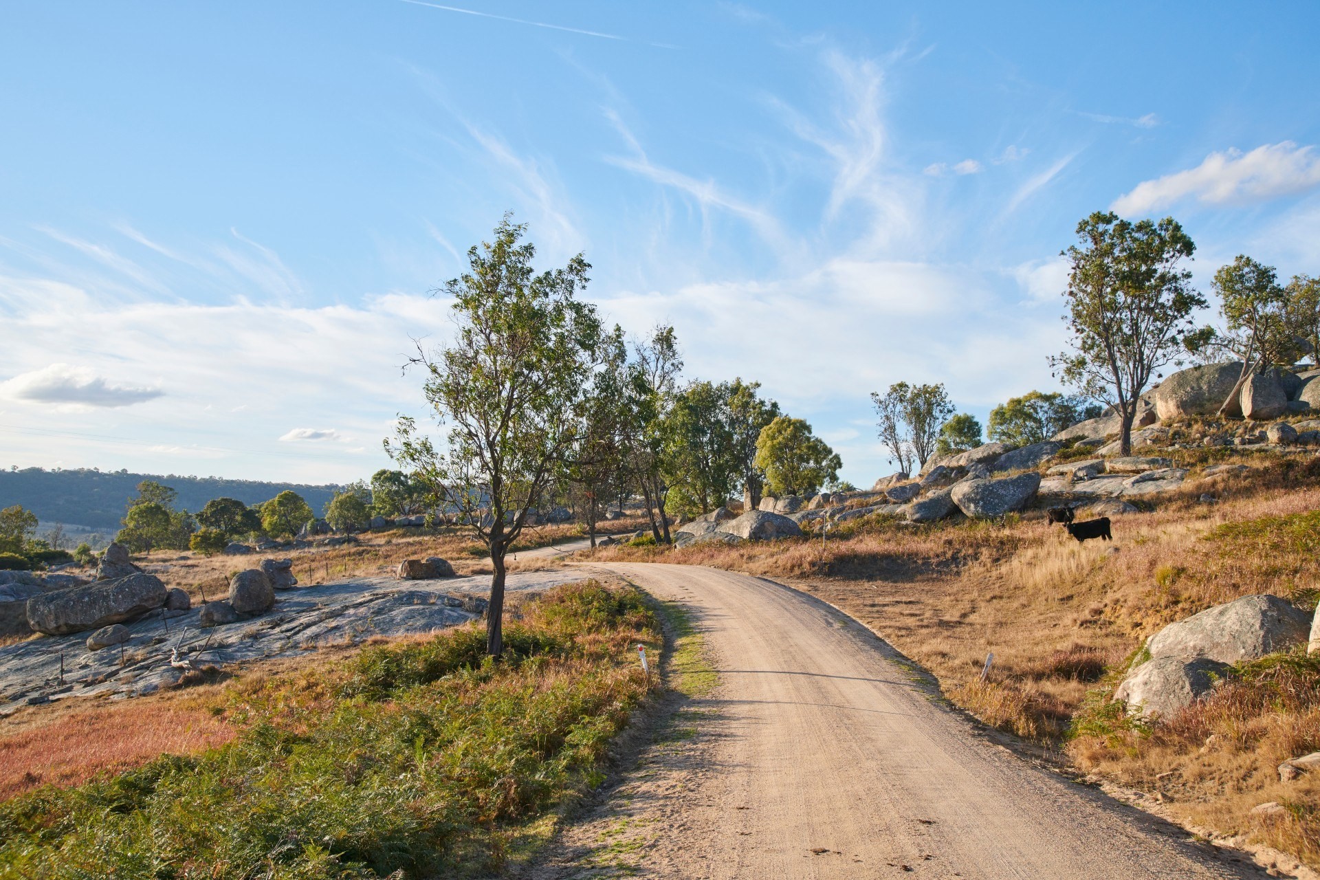 Travel Essence NSW Tenterfield Cottage Kevin 29 1