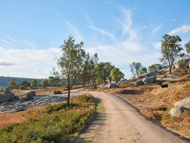 Travel Essence NSW Tenterfield Cottage Kevin 29 1