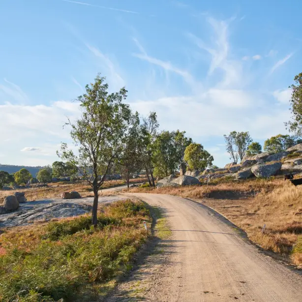 Travel Essence NSW Tenterfield Cottage Kevin 29 1