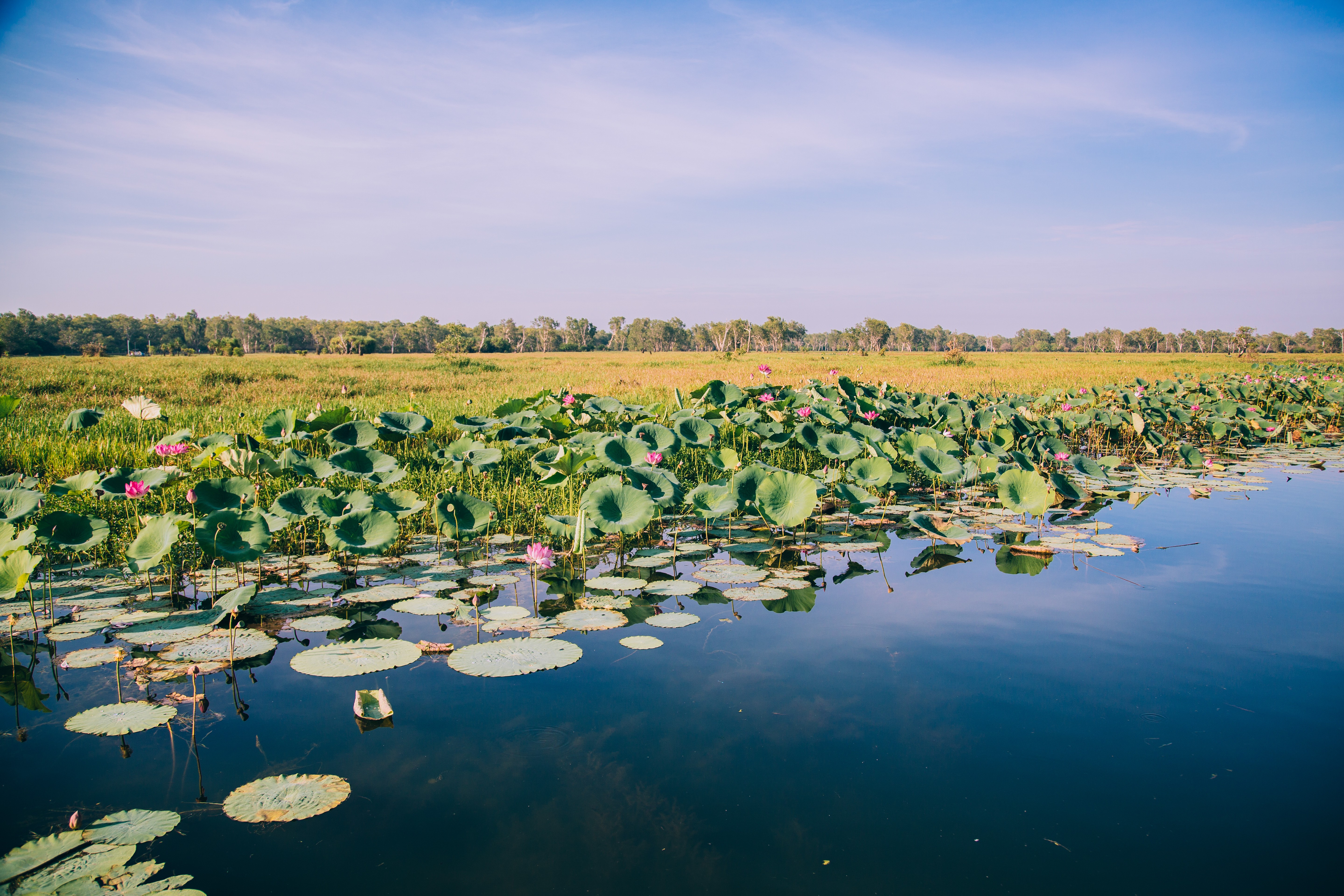 Gelbes Wasser Kakadu-Nationalpark, Australien