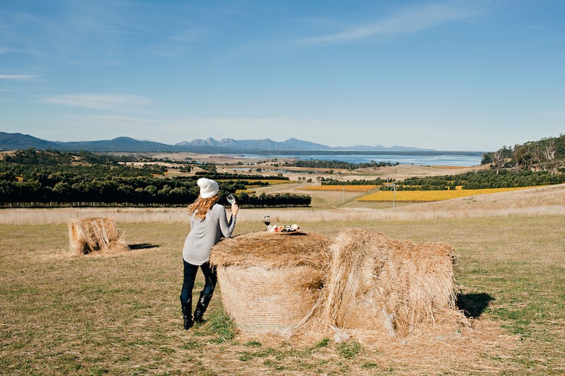 Australien tasmanien devils corner freycinet vineyard weinverkostung