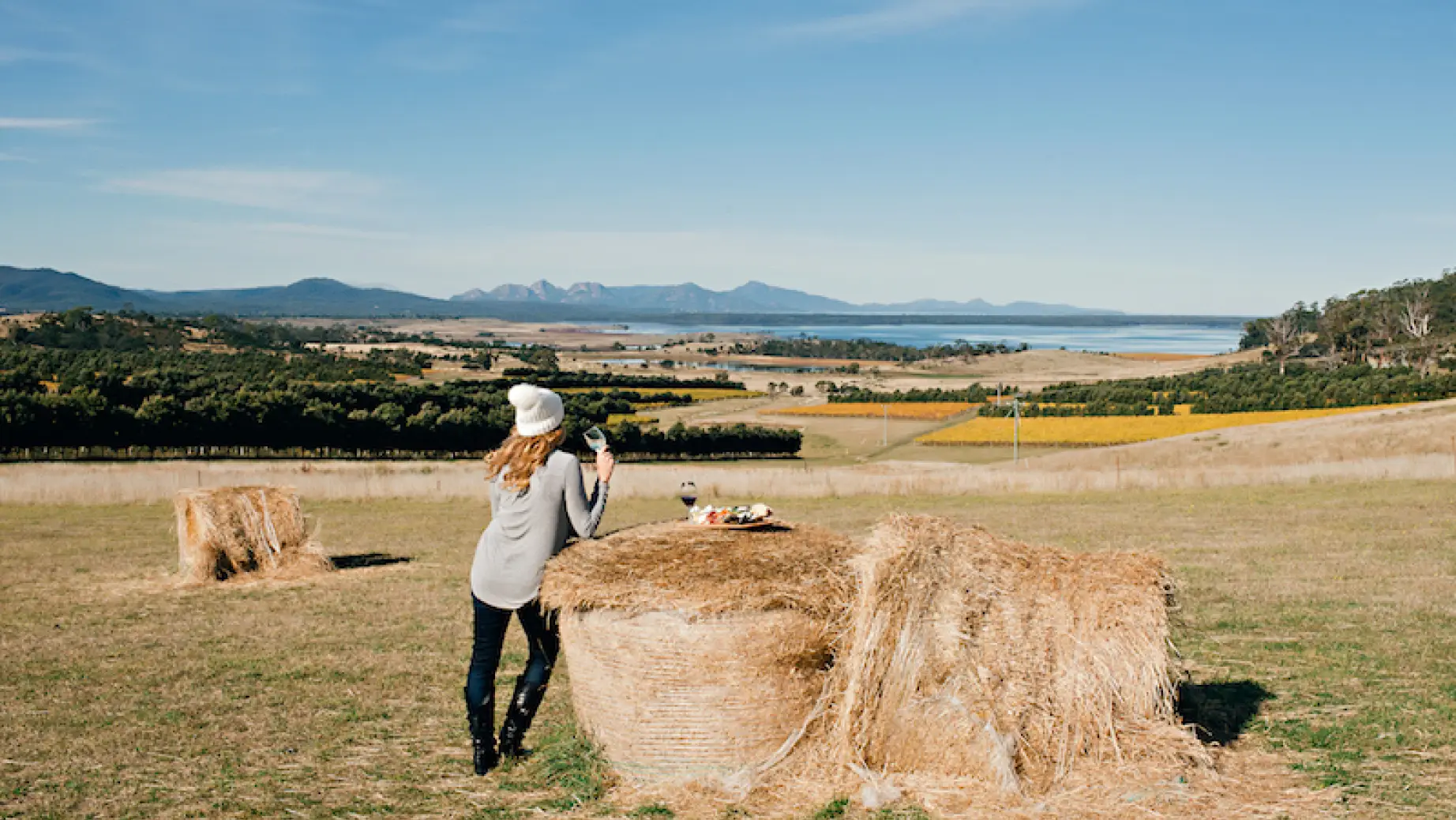 Australien tasmanien devils corner freycinet vineyard weinverkostung