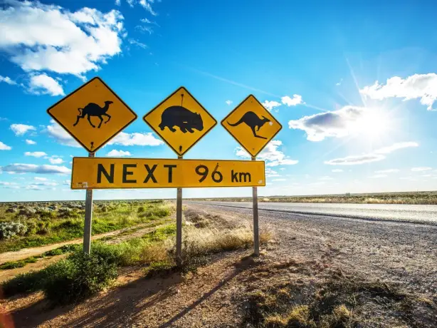 Straßenschilder, die vor möglichen Tierüberquerungen im Outback, Australien, warnen
