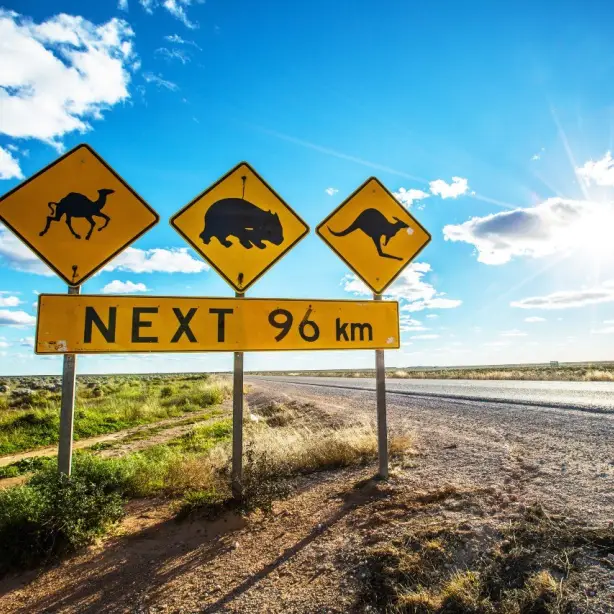 Straßenschilder, die vor möglichen Tierüberquerungen im Outback, Australien, warnen