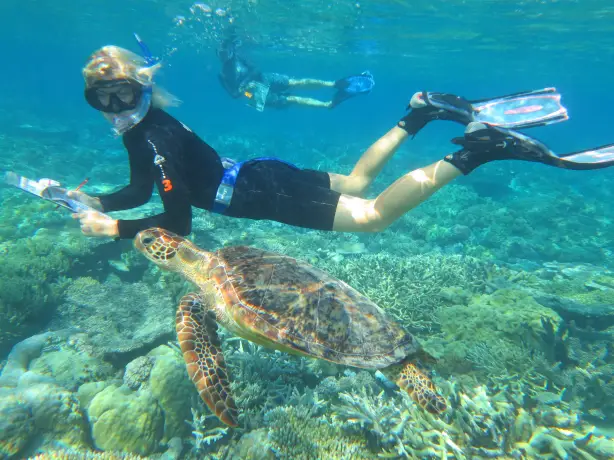 Australien great barrier reef Citizen Science Tour Meeresbiologie