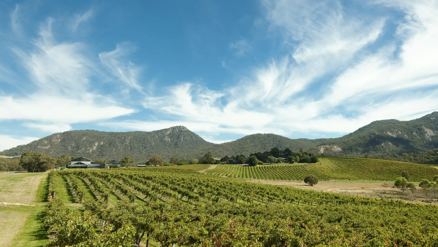 Australien Victoria Great Ocean Road Grampians Weinanbau australische Weine Weinberg