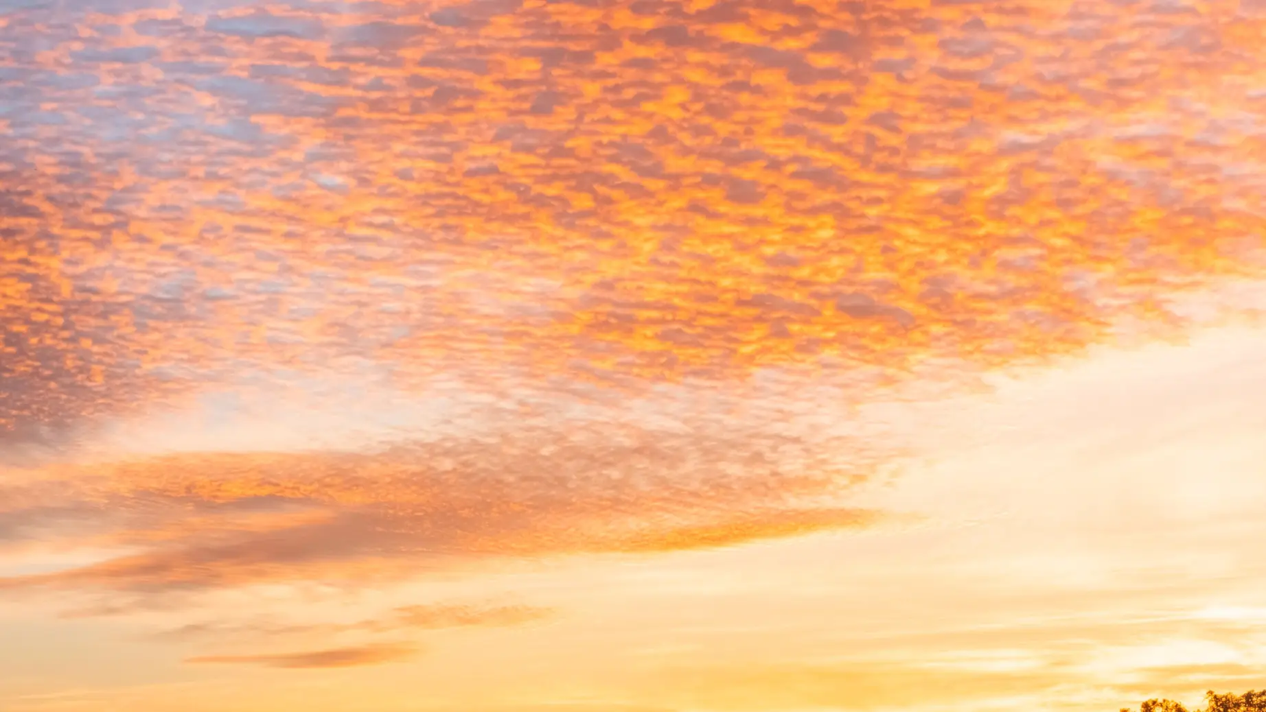 Australien Victoria Hamilton Great Ocean Road Sonnenuntergang Schafe