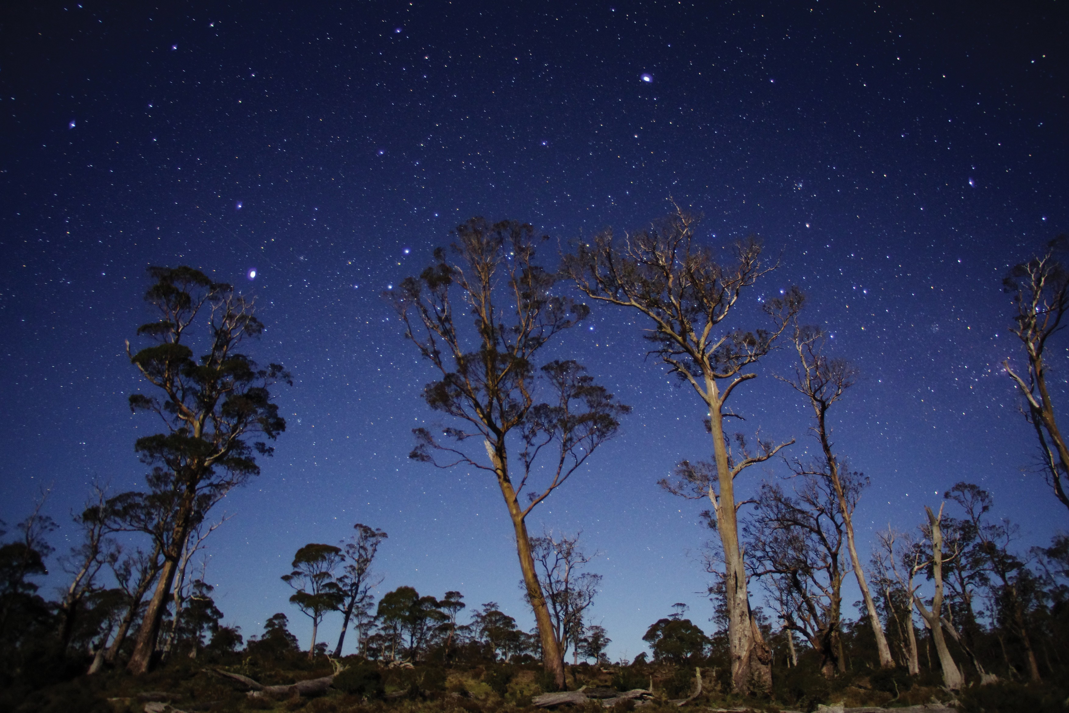 Aus tasmania Stars in the Cradle Mountain Lake St Clair National Park