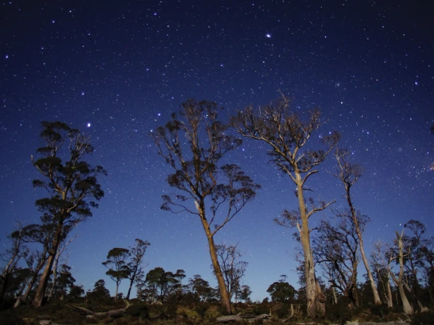 Aus tasmania Stars in the Cradle Mountain Lake St Clair National Park