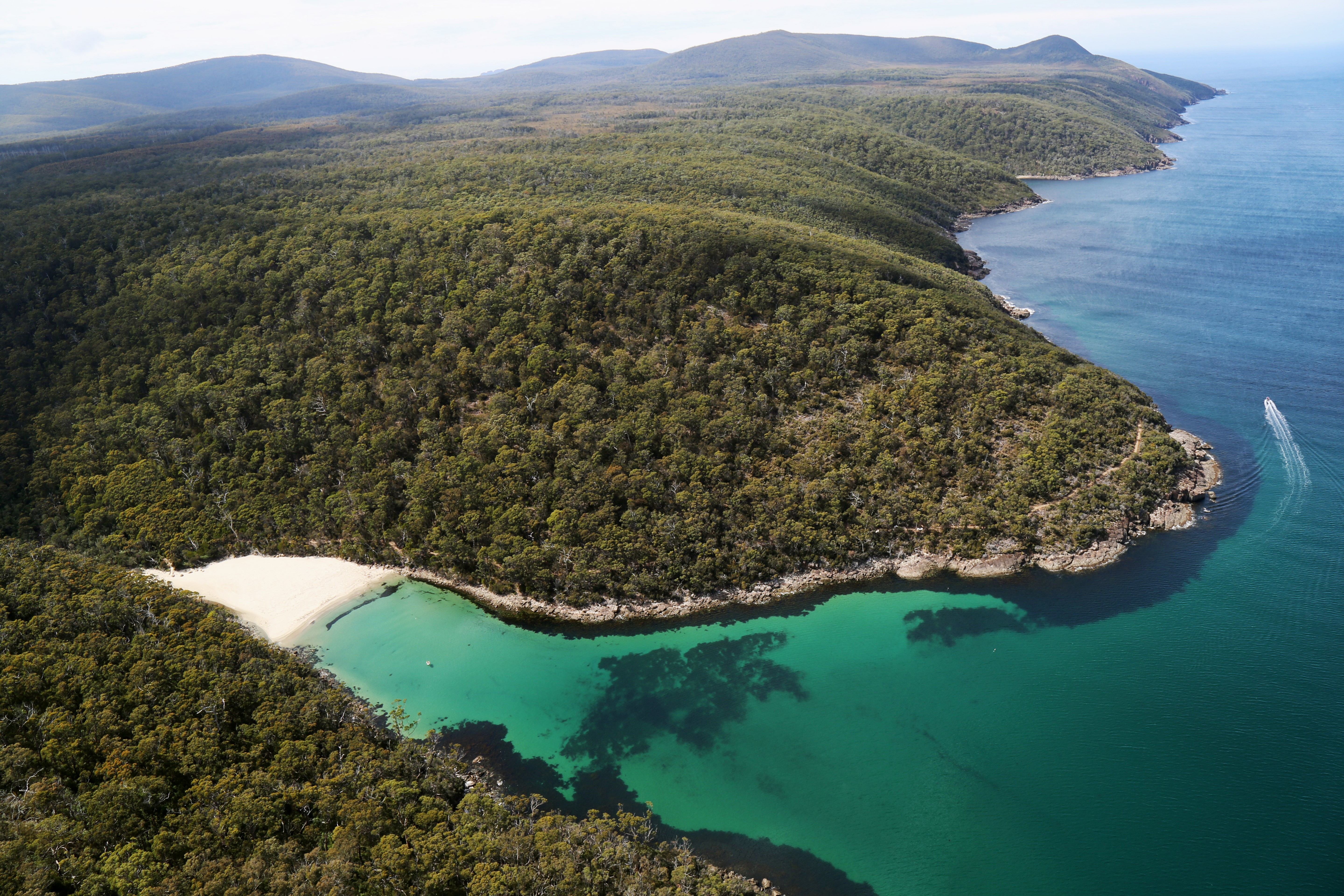 Australia, Tasmania – a bay with sea, beach and forest in Tasman National Park