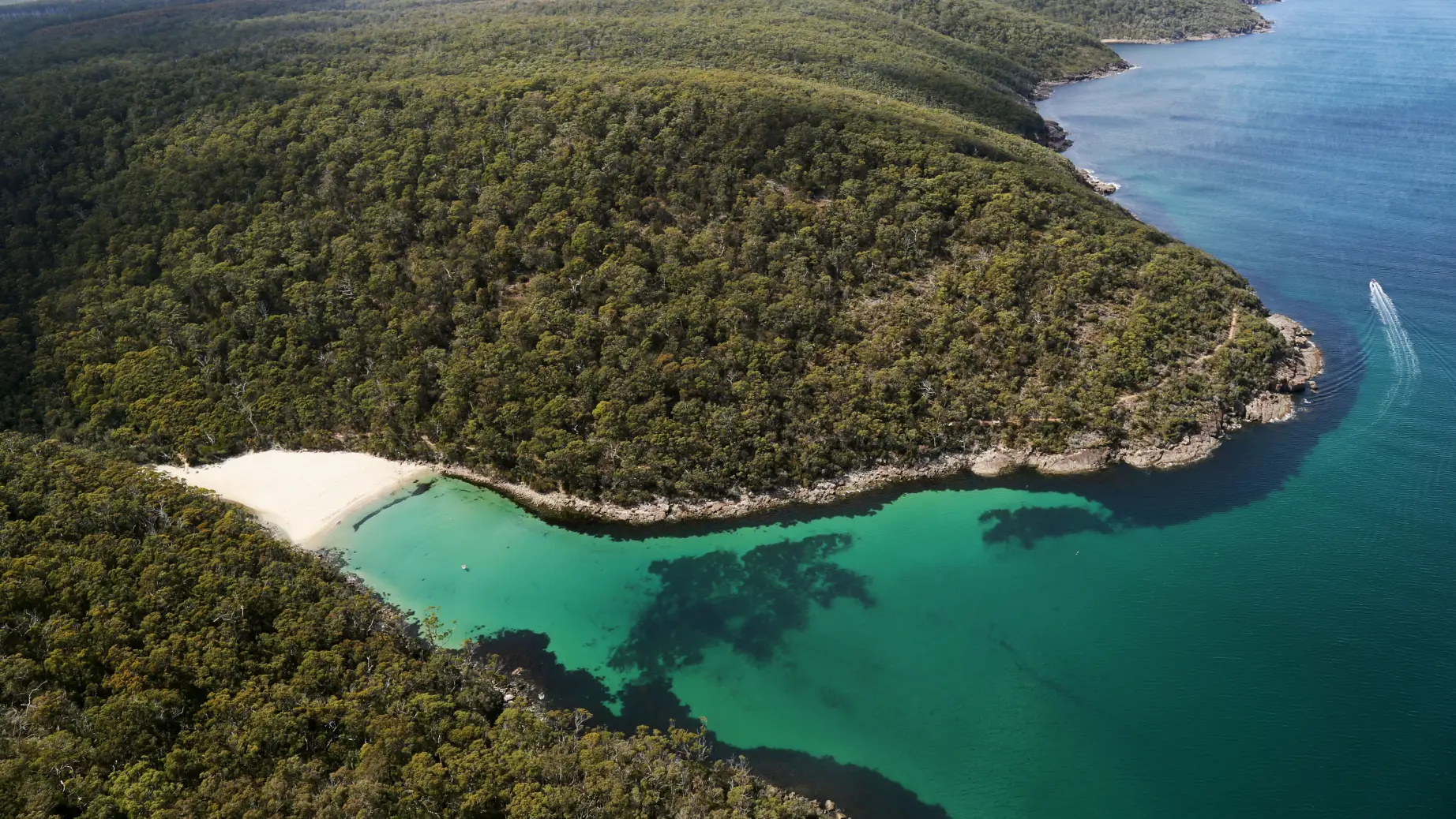 Bewaldete Küste mit Strand am Abel Tasman Nationalpark