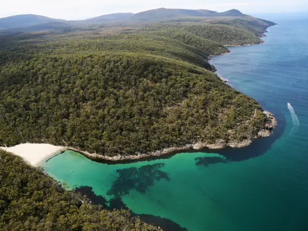 Bewaldete Küste mit Strand am Abel Tasman Nationalpark