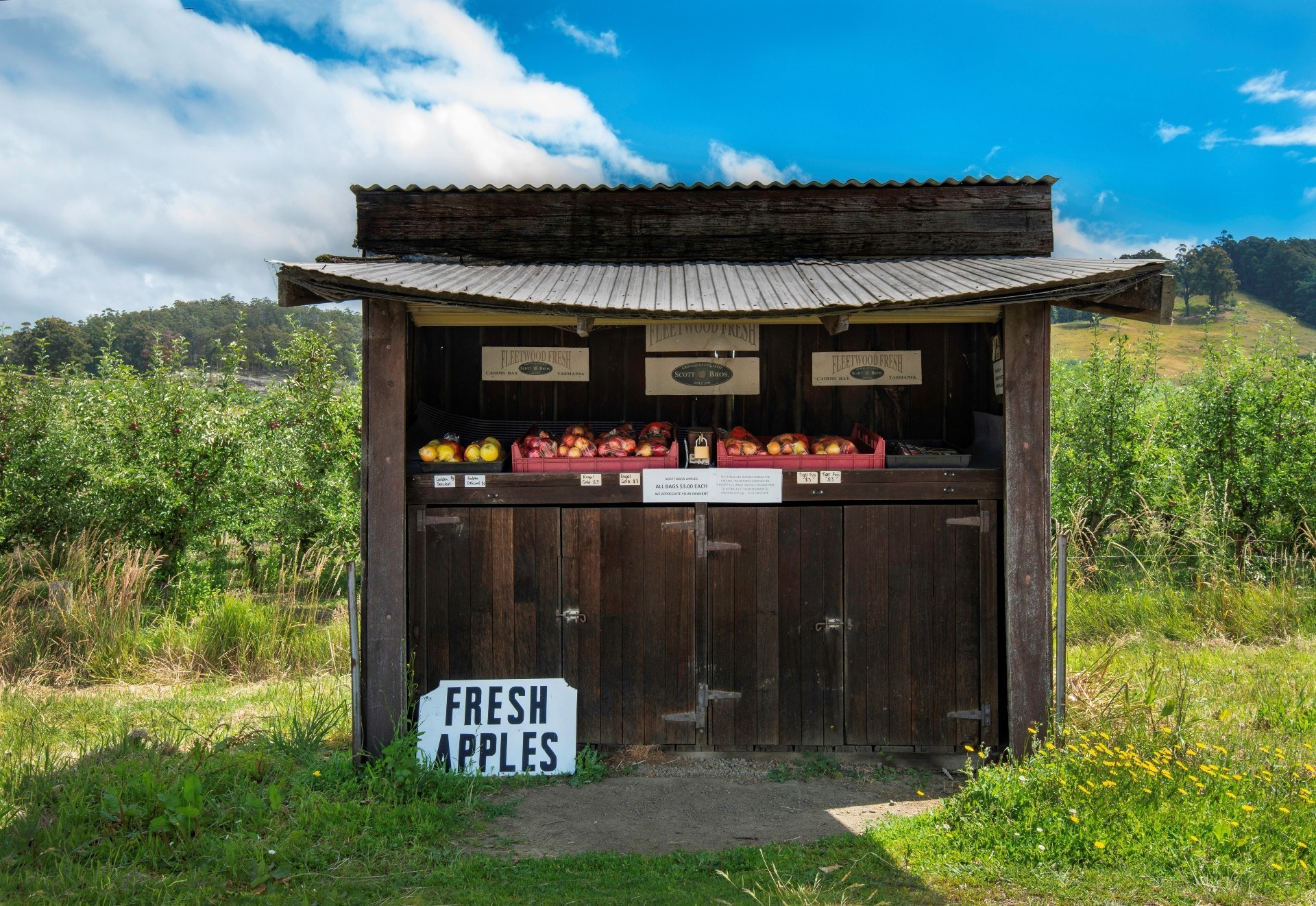 Australien Tasmanien Straßenverkauf Äpfel