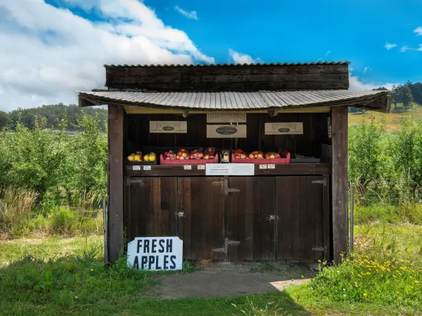 Australien Tasmanien Straßenverkauf Äpfel
