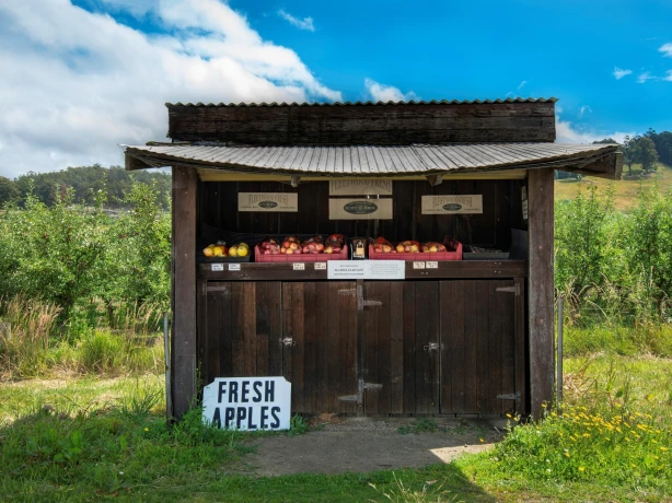 Australien Tasmanien Straßenverkauf Äpfel