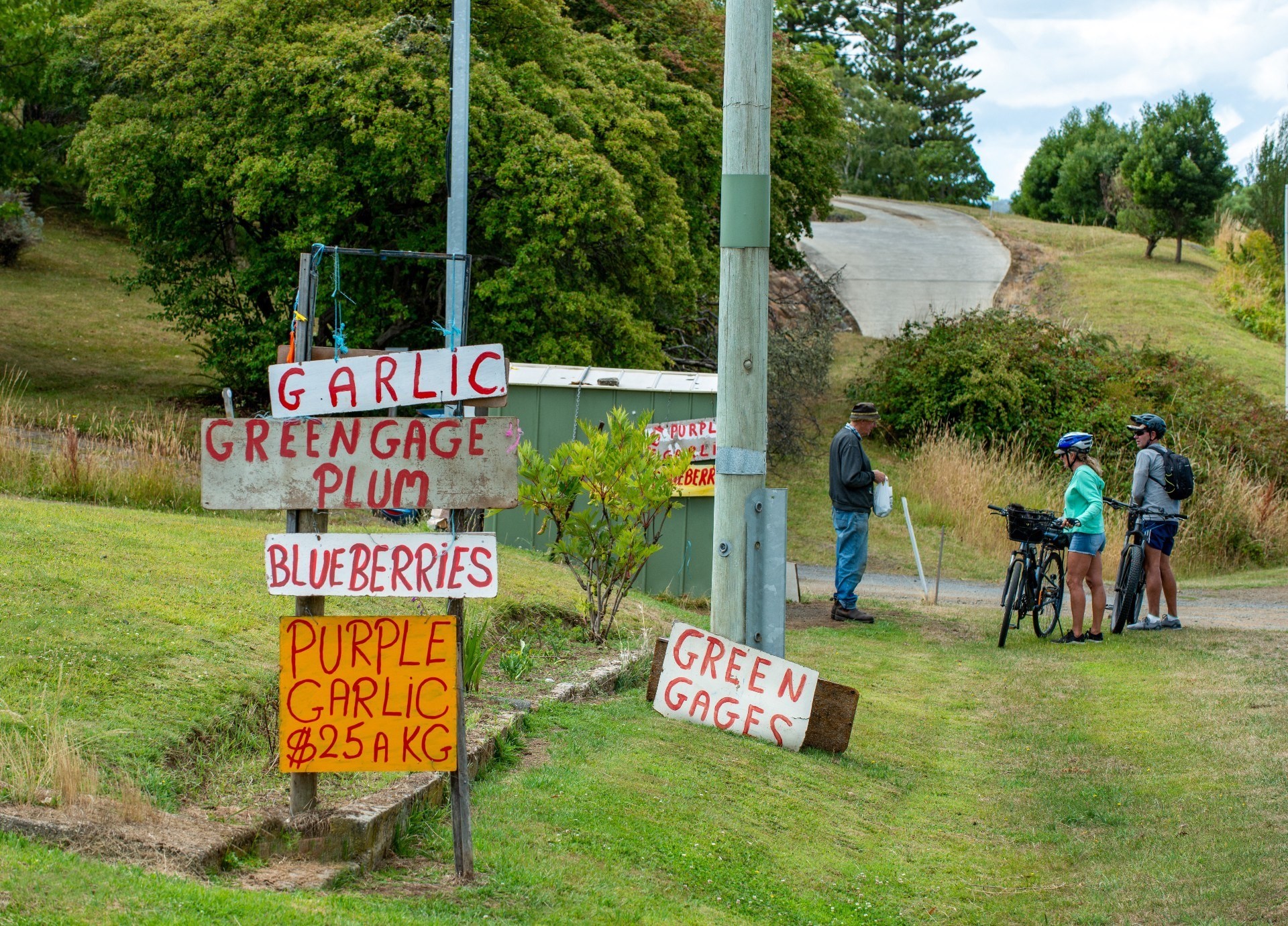 Aus tasmania Cyclists by a Roadside Stall Franklin credit Paul County