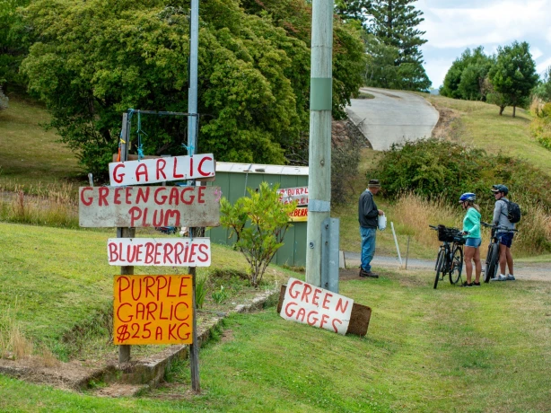 Aus tasmania Cyclists by a Roadside Stall Franklin credit Paul County