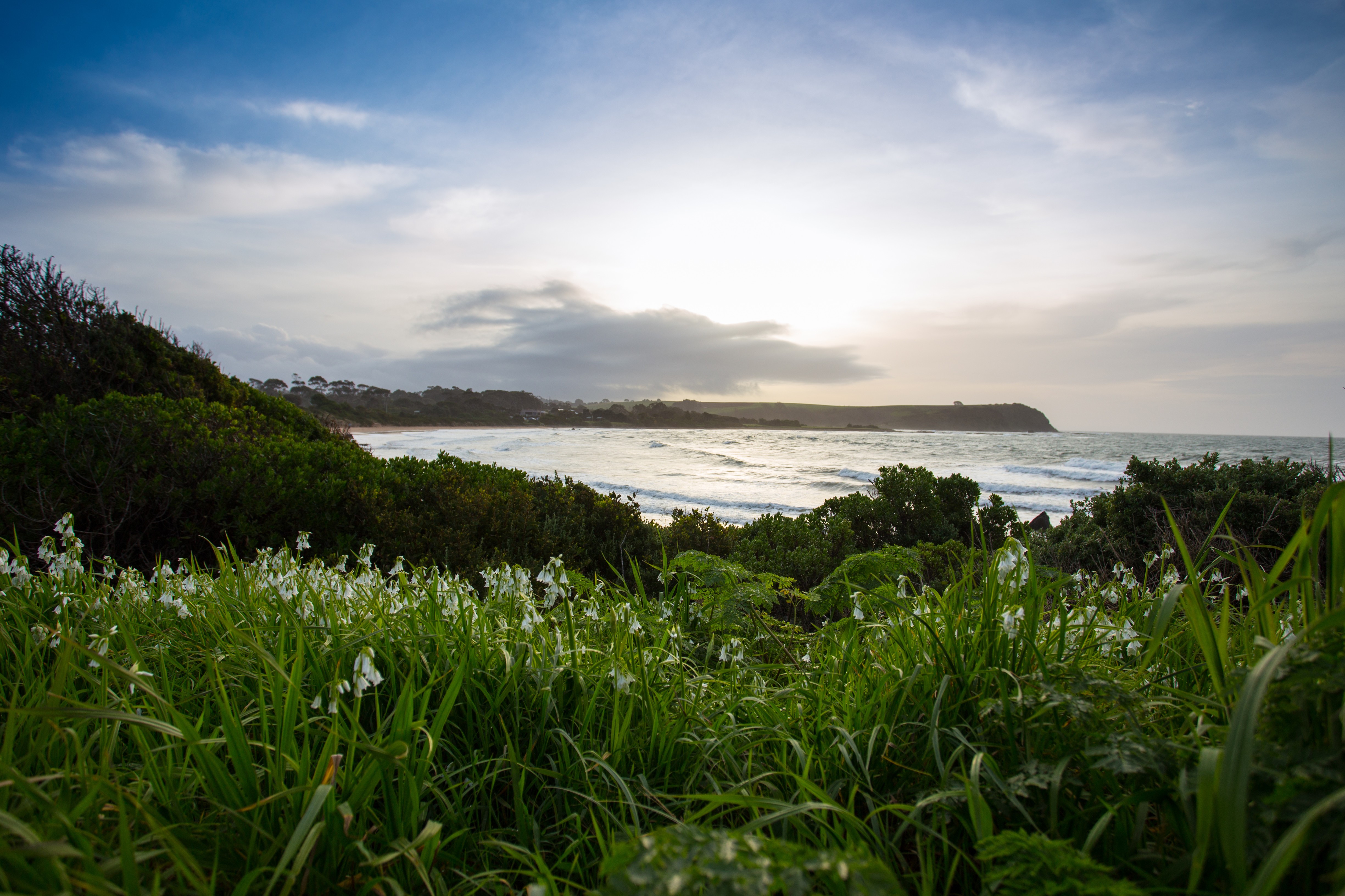 Australien Tasmanien Bluff Beach Devonport