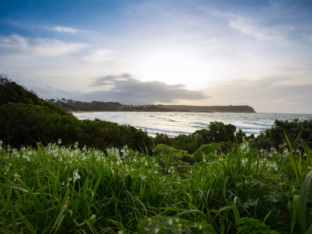 Australien Tasmanien Bluff Beach Devonport