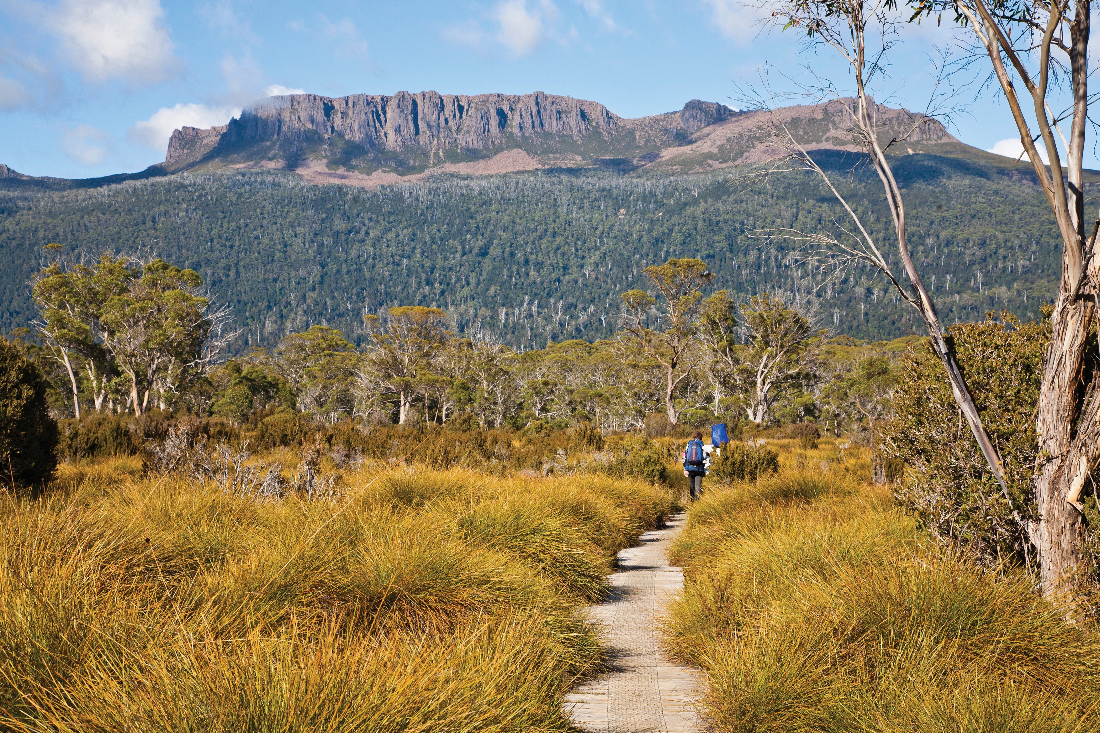 Aus tasmania Mt Olympus from the Overland Track