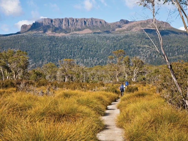 Aus tasmania Mt Olympus from the Overland Track