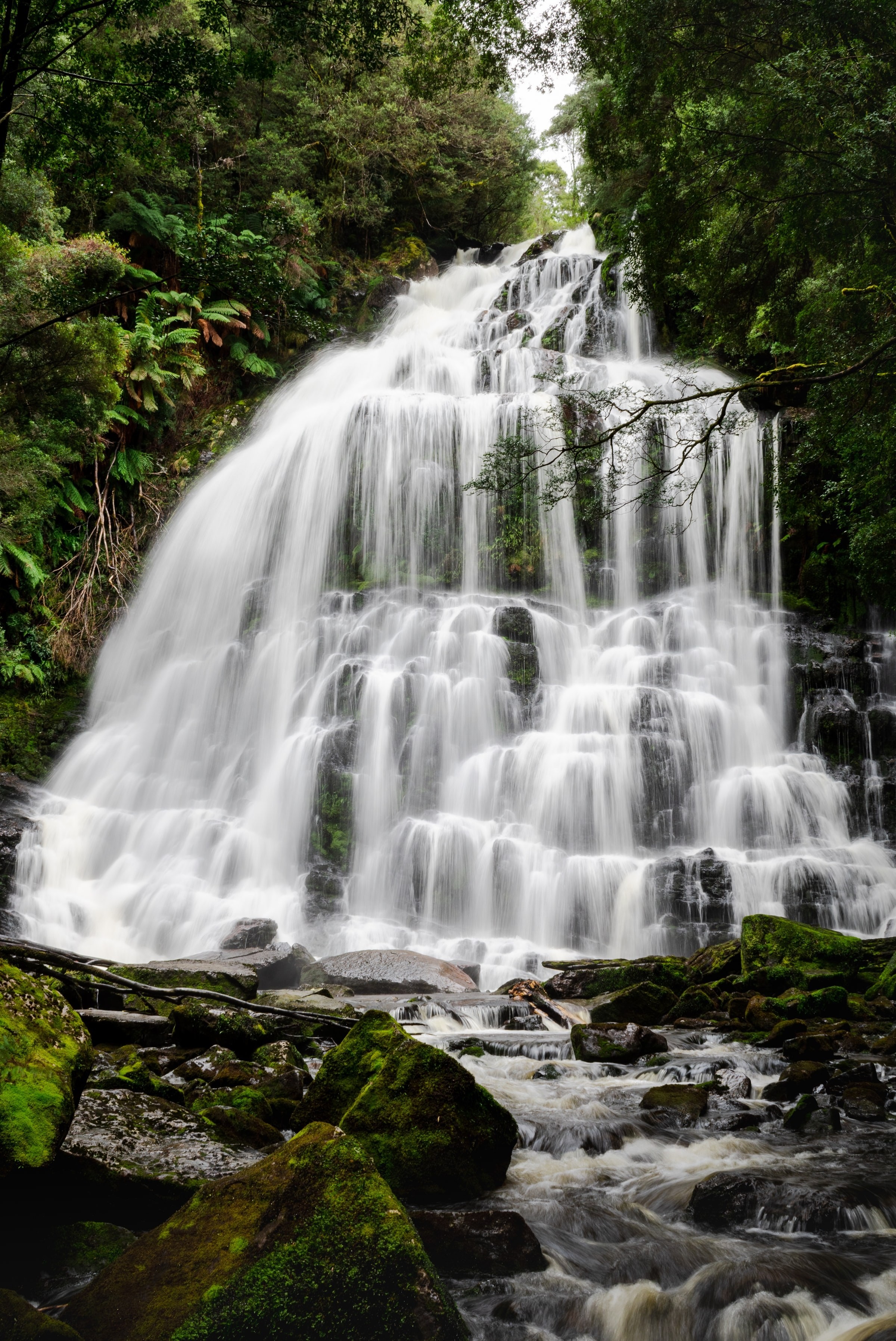 Aus tasmania Nelson Falls Lyell Highway Queenstown