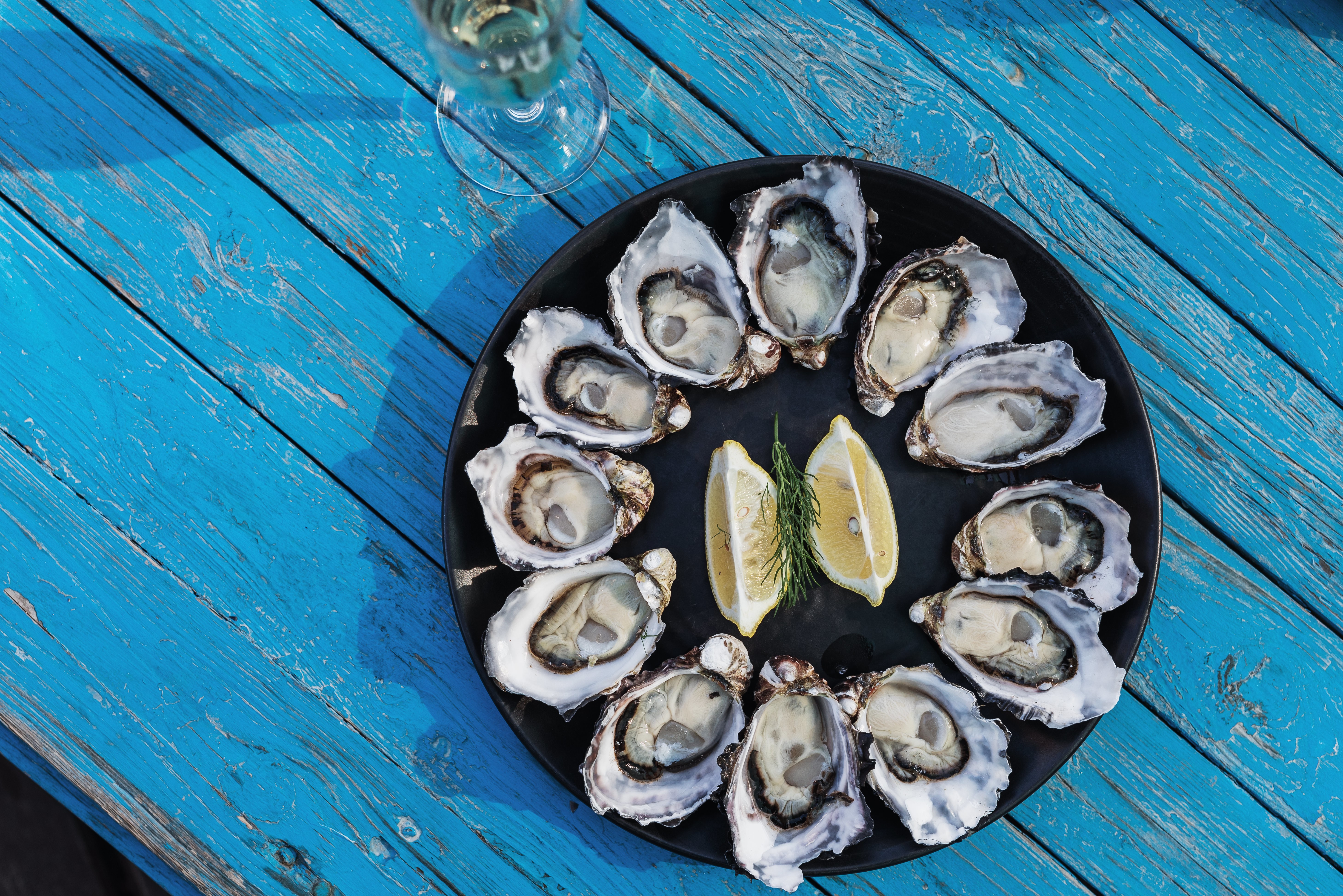 Aus tasmania get shucked bruny island oysters credit Adam Gibson jpg