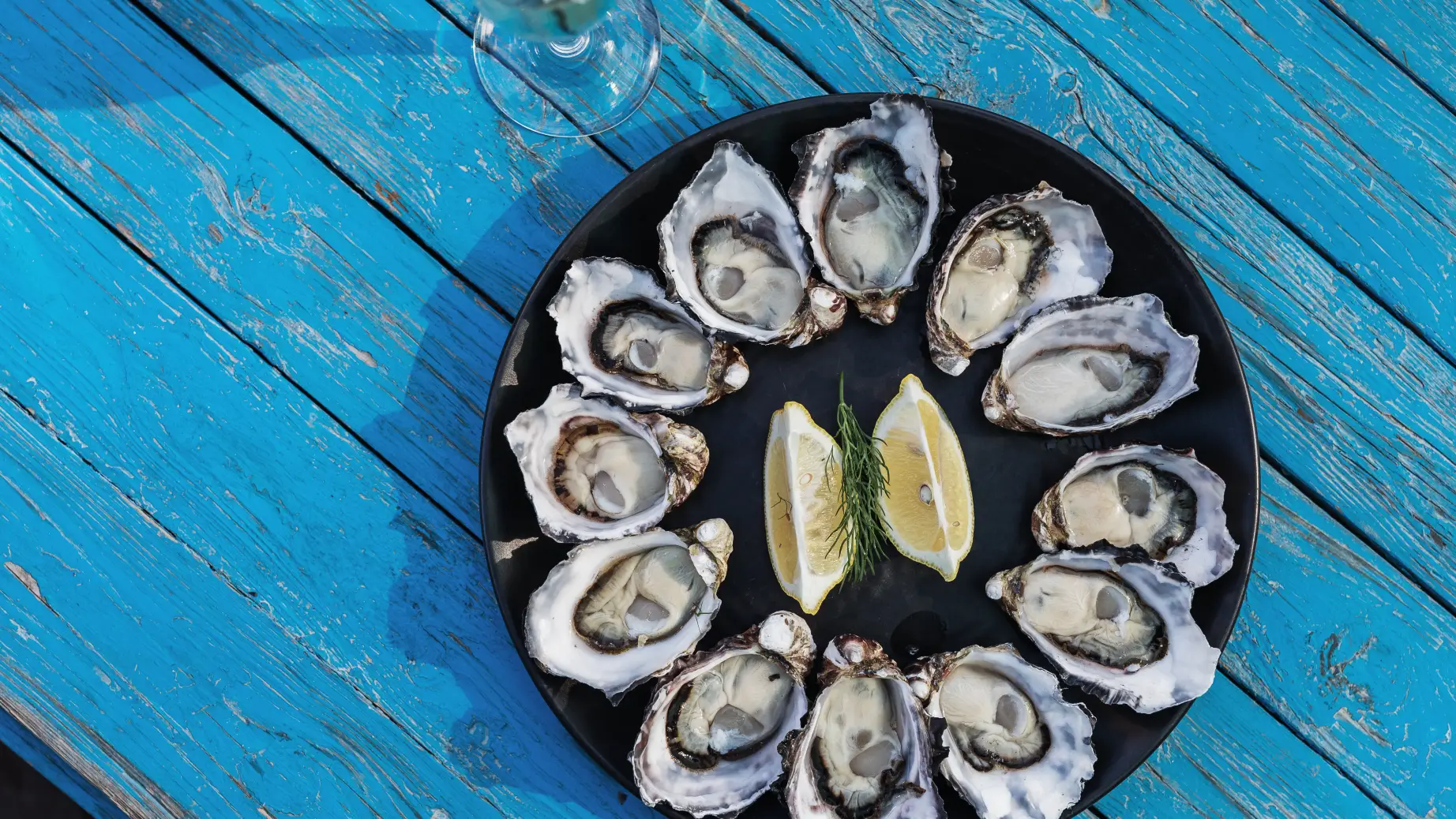 Aus tasmania get shucked bruny island oysters credit Adam Gibson jpg