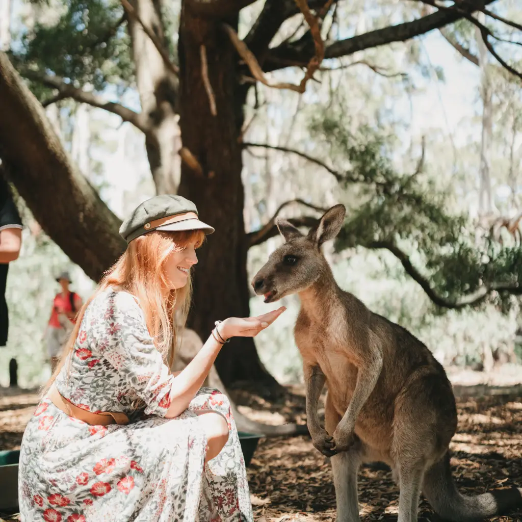 Frau füttert Känguru in Australien