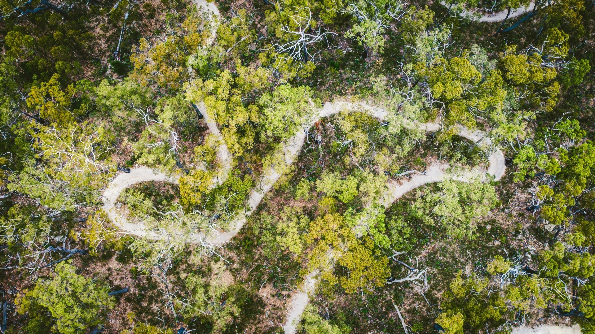 Aus tasmania st helens mountain bike trails