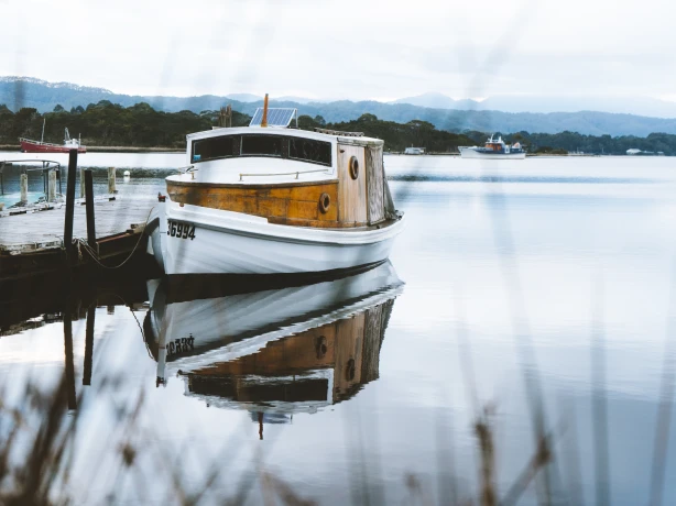 Aus tasmania strahan lettes bay