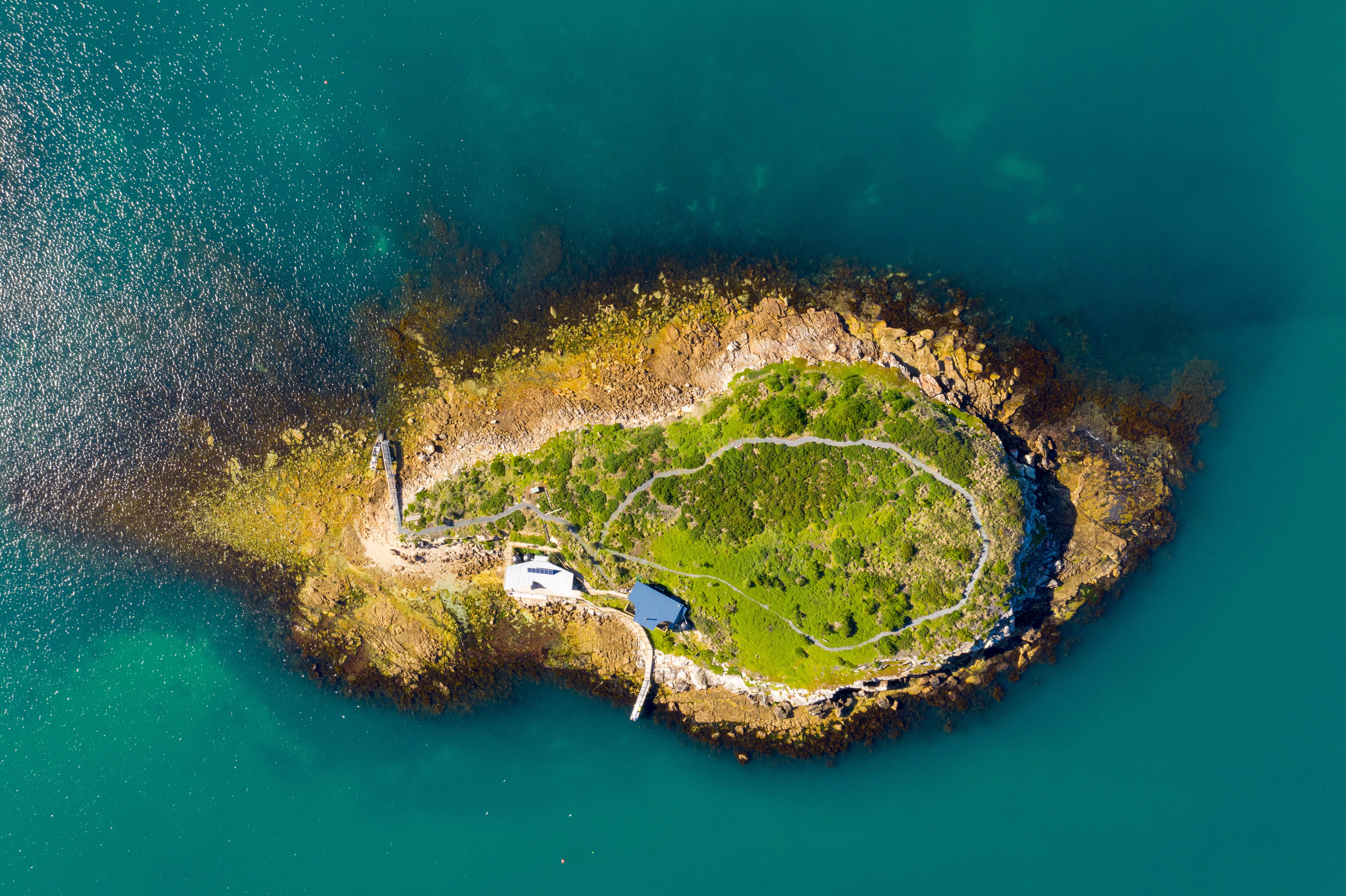 Aus tasmania picnic island credit Luke Tscharke