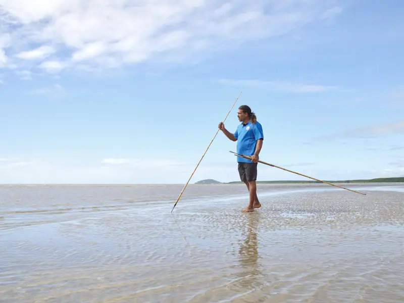 Au daintree walkabout adventures brandon discoverpage detailed culture history 1