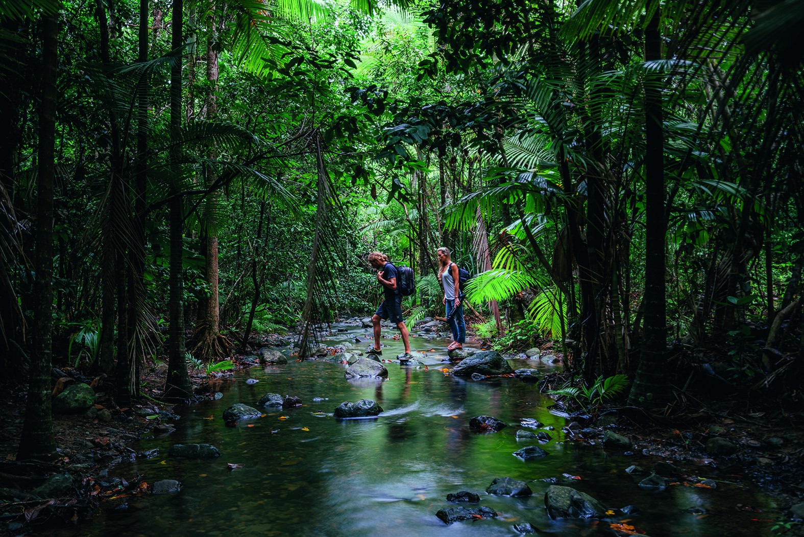 Ein Mann und eine Frau überqueren einen flachen Fluss auf Steinen im Daintree Rainforest, Australien, Queensland
