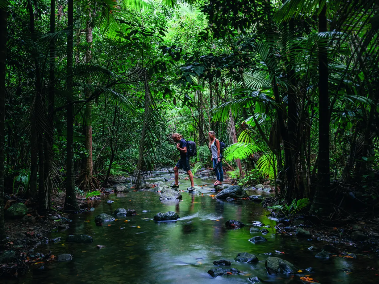 Ein Mann und eine Frau überqueren einen flachen Fluss auf Steinen im Daintree Rainforest, Australien, Queensland