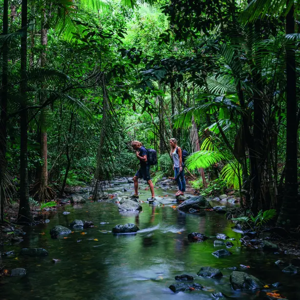 Ein Mann und eine Frau überqueren einen flachen Fluss auf Steinen im Daintree Rainforest, Australien, Queensland