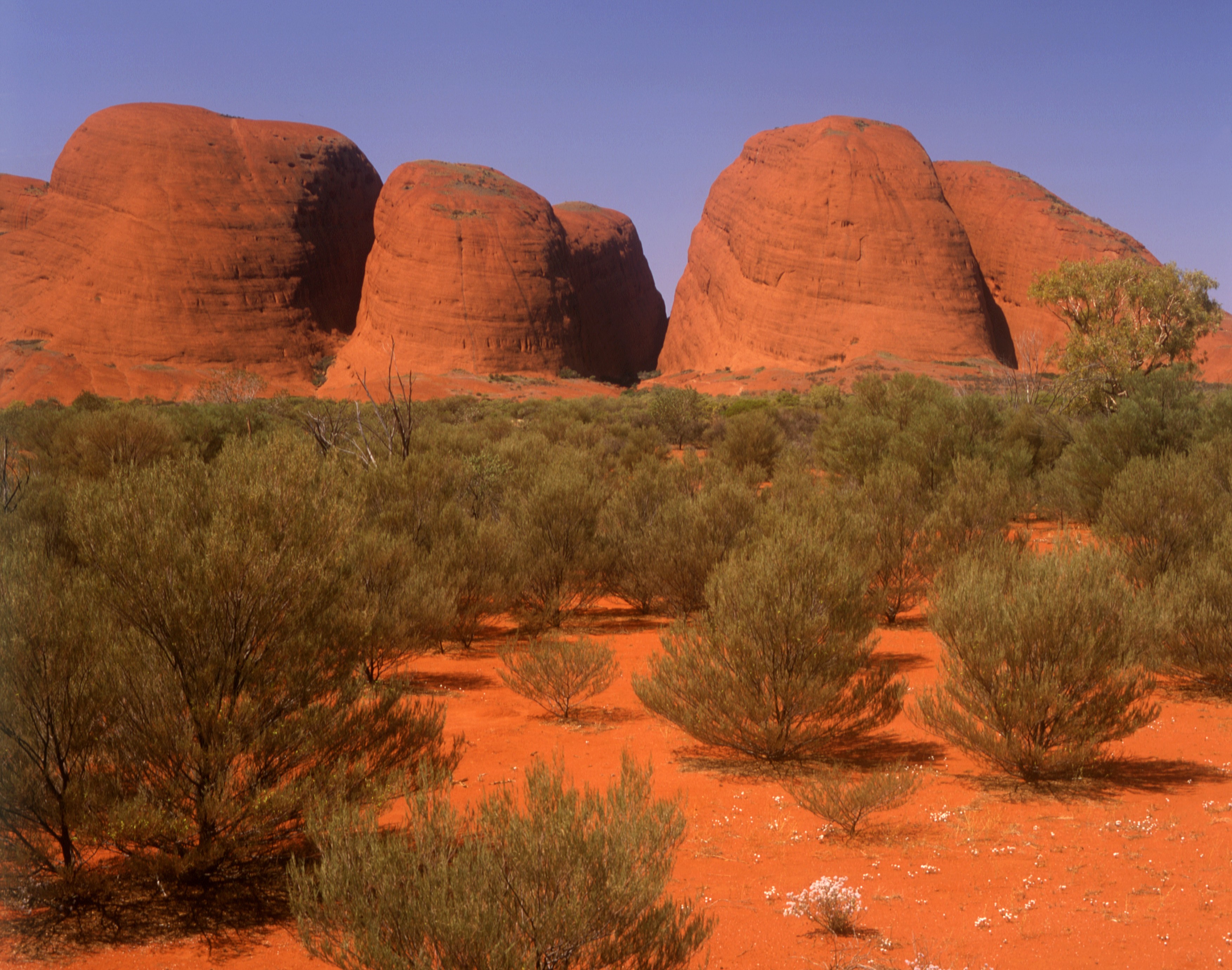 au Kata tjuta discover nat parks