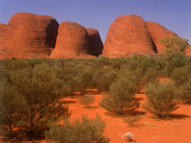 au Kata tjuta discover nat parks